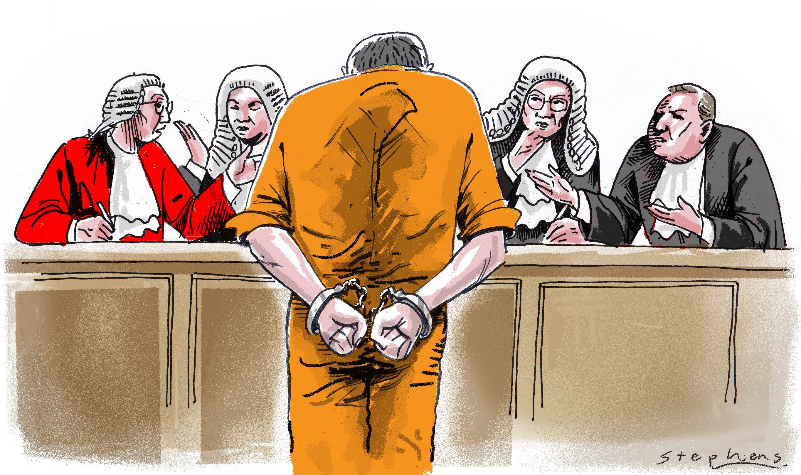 Rapid Adjudication in Legal Cases Does Not Justify Prejudicing the Fair Trial Guarantees
